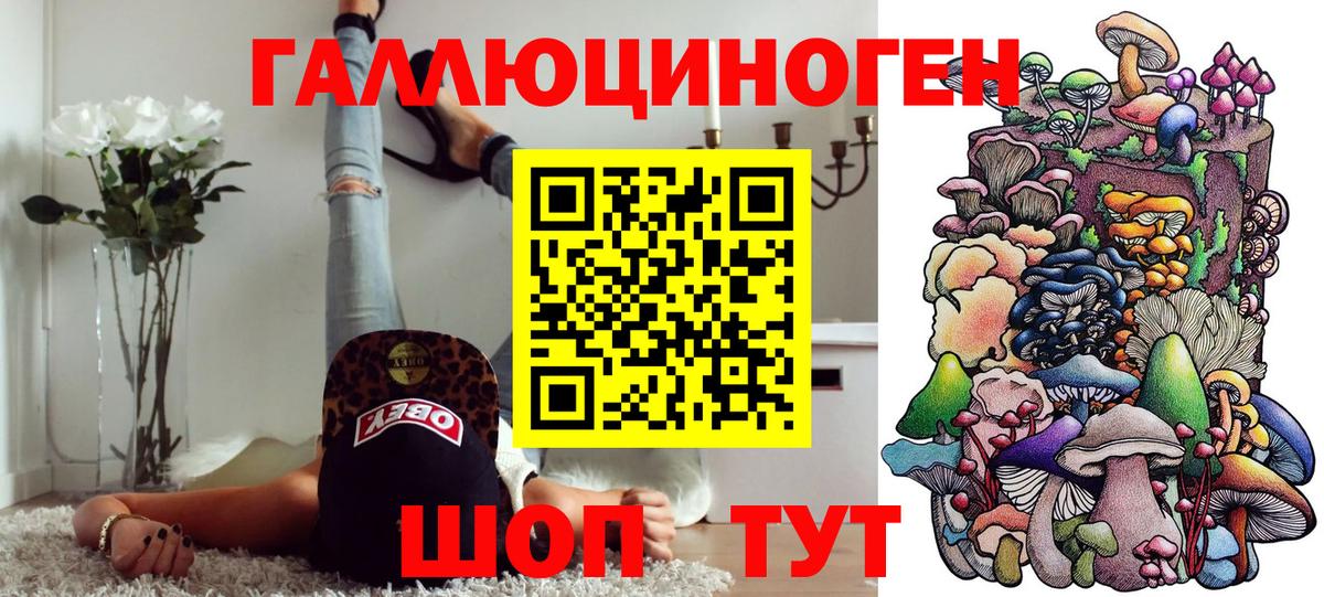 Галлюциногенные грибы Magic Shrooms  где купить наркотик  Новоалександровск  Вход с VPN 