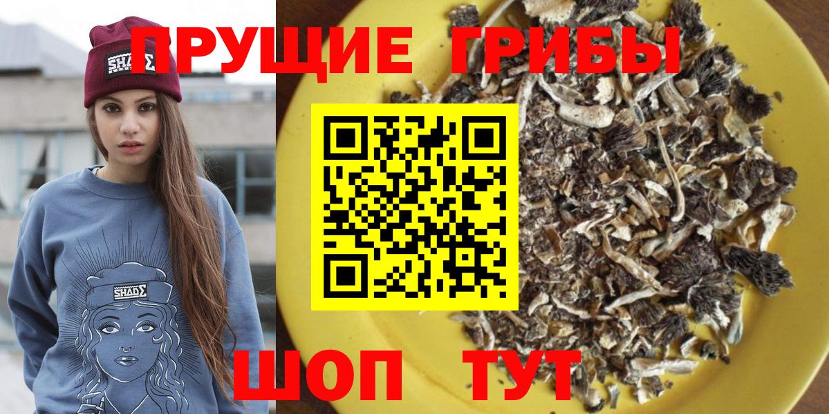 Псилоцибиновые грибы прущие грибы Новоалександровск